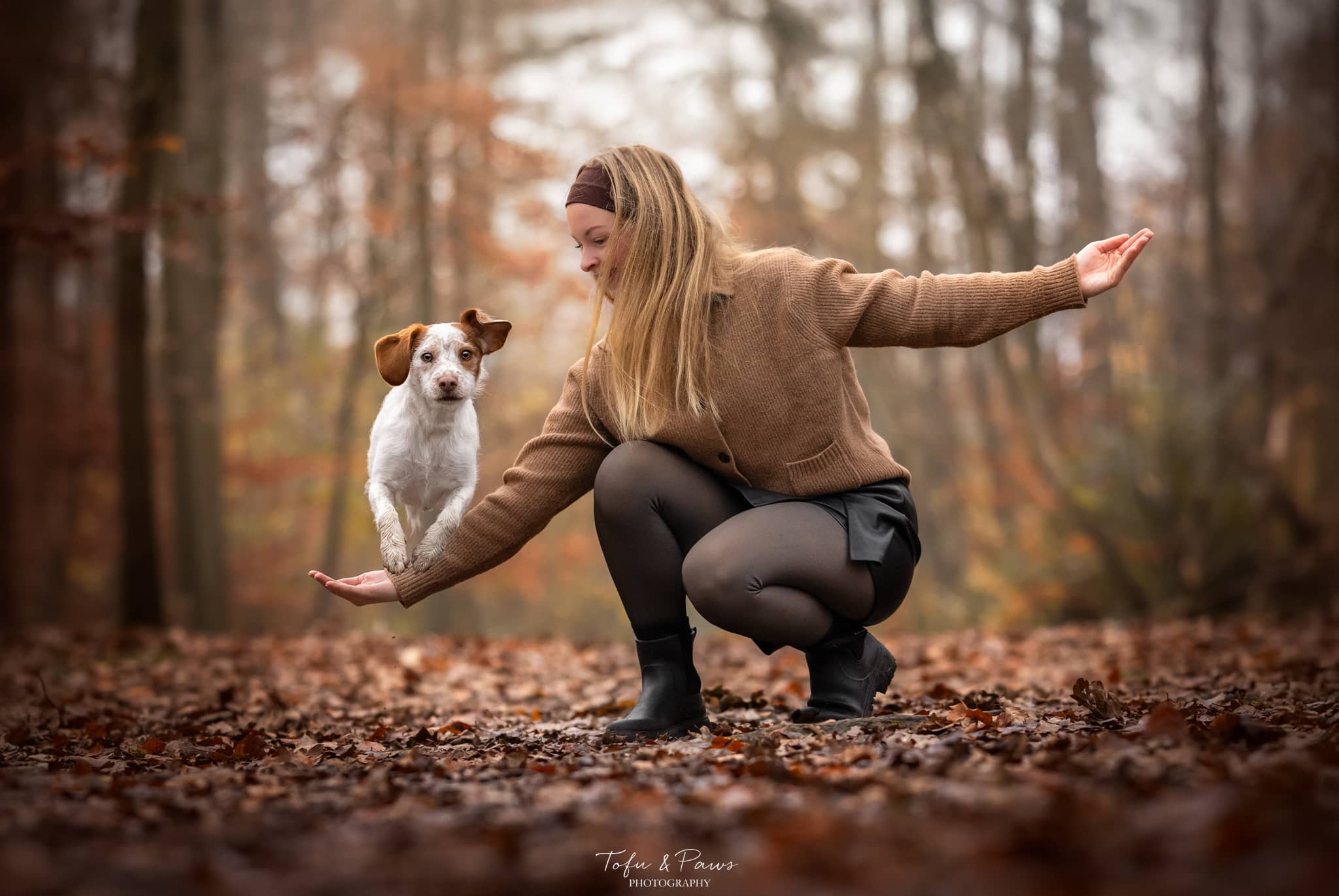 Comprendre le comportement du chien – éducation canine méthodes positives Hauts-de-Seine
